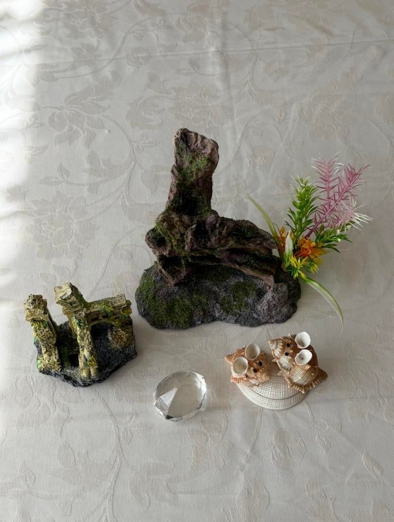 Aquarium decoraties, Ophalen of Verzenden, Zo goed als nieuw, Decoratie