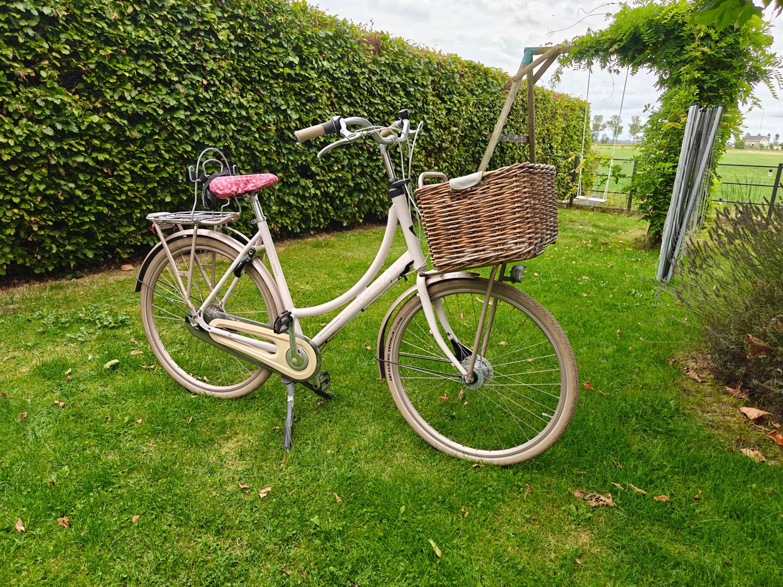Damesfiets Batavus Diva met mand en bagagedrager Monkey, Trommelrem, Ophalen, Overige merken, 53 tot 56 cm