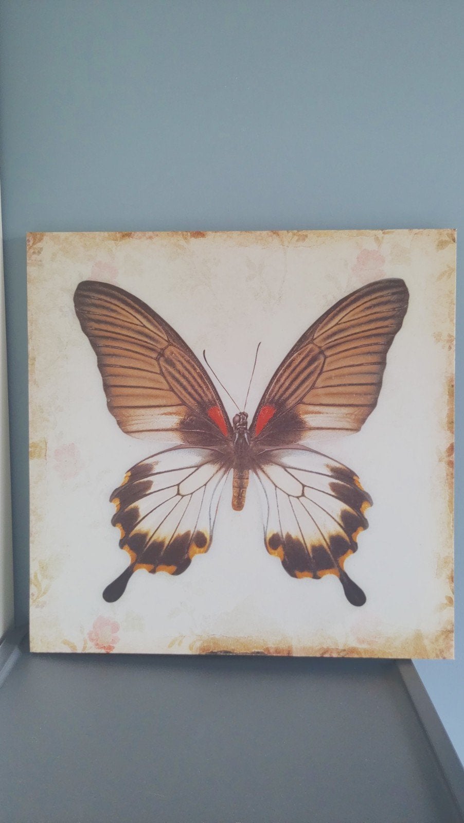 Wanddecoratie Vlinder Schilderij Canvas, Ophalen, Gebruikt, Schilderij, Textiel