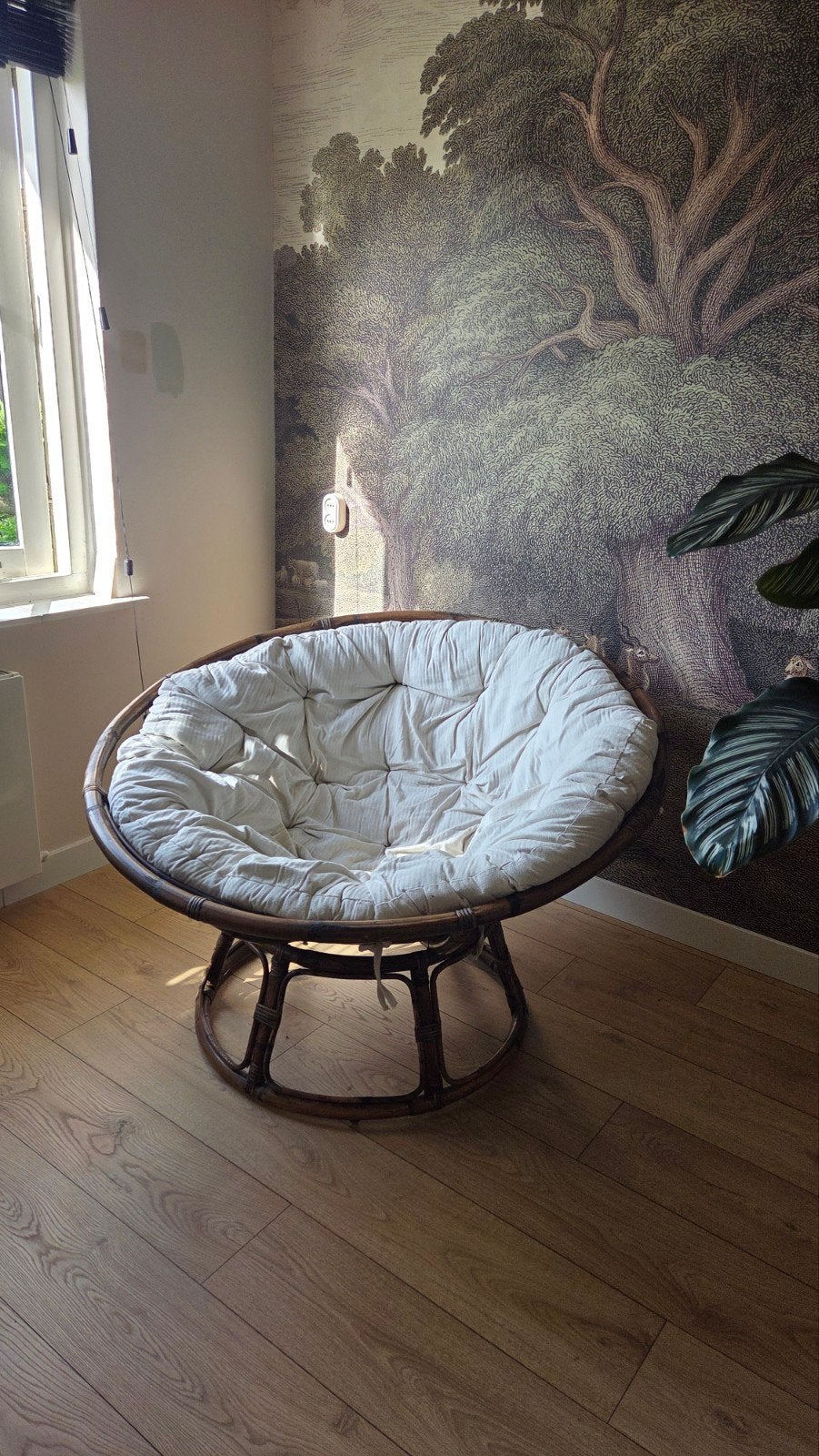 Papasan loungestoel bruin rotan met kussen - Gamma, Ophalen, Bruin, Eén