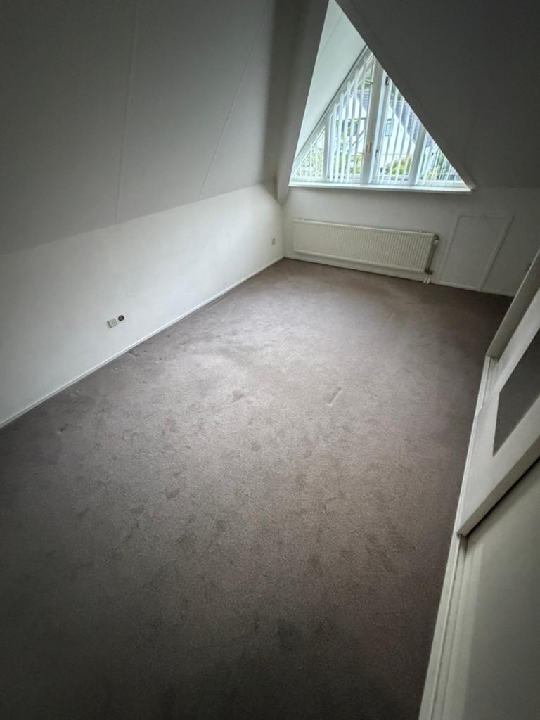 ZGAN Vloerbekleding, Ophalen, Rond, 200 cm of meer, 50 tot 100 cm