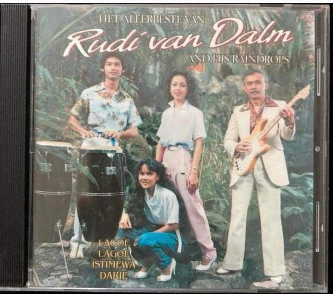 Het allerbeste van Rudi van Dalm And his raindrops Cd, Ophalen of Verzenden, Gebruikt