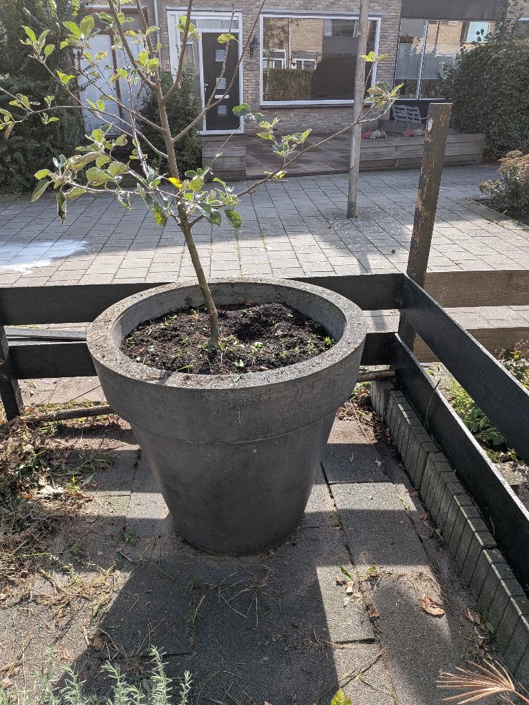Grote stenen plantenpot, Tuin en Terras, Ophalen, Steen, Gebruikt, 40 cm of meer