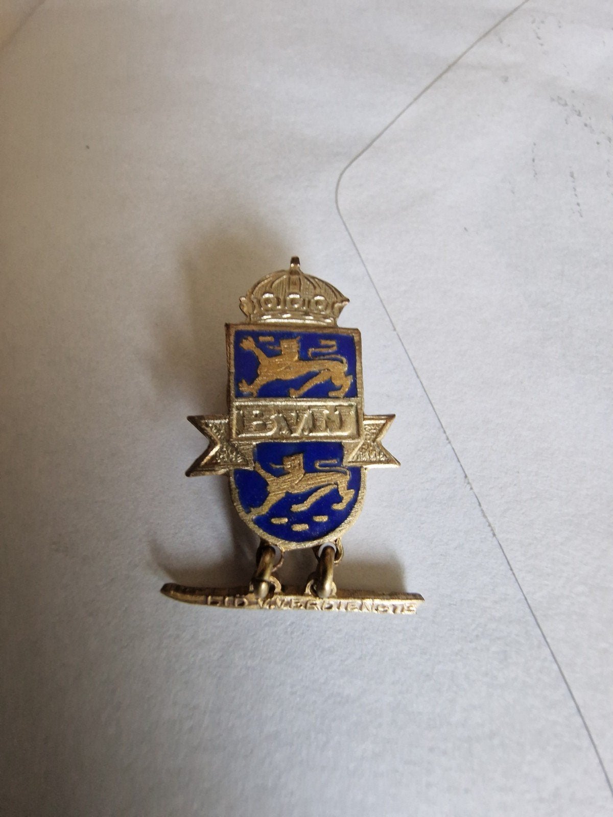 Knoopsgatinsigne van de Friesche Bond van IJsverenigingen ., Ophalen, Overige materialen, Nederland