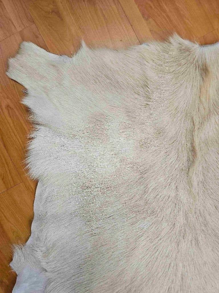Geitenhuid ecru 82/72 cm, 50 tot 100 cm, Djt@dejuistetoon.eu, Zo goed als nieuw, Mon Plaisir 19, Etten-Leur, Netherlands