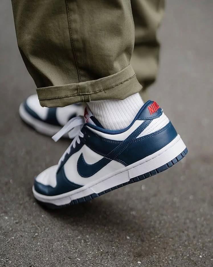 Nike dunk low maat 43, Kleding | Heren, Schoenen, Ophalen of Verzenden, Zo goed als nieuw, Blauw