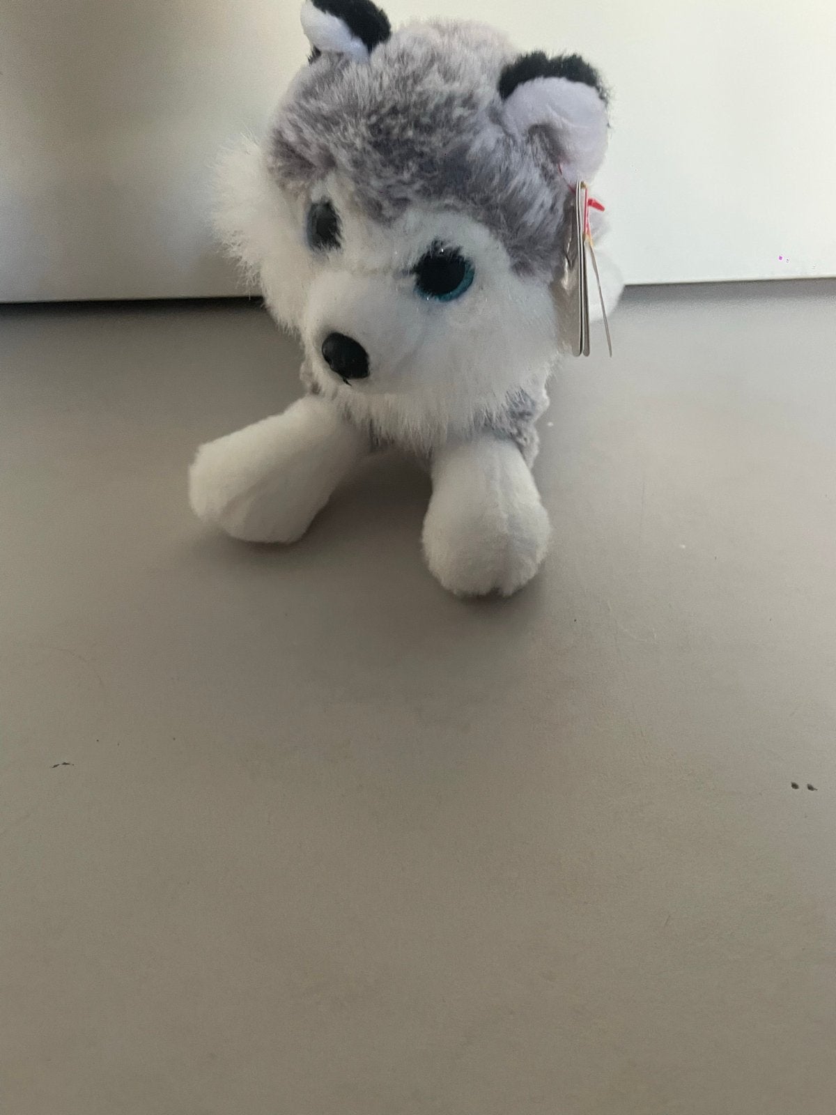 Ty Beanie Boo Husky Knuffel - Nieuw met label, Grijs, Klein (minder dan 20 cm), Ty, Hond