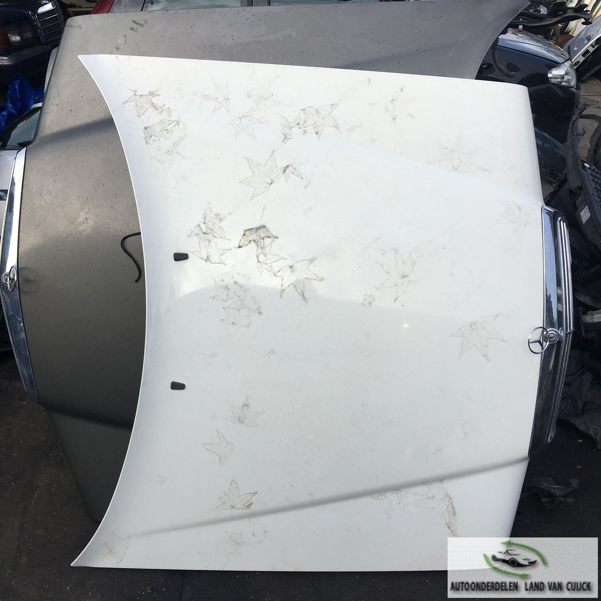 Mercedes W124 1988 Motorkap zonder grille, Ophalen, Gebruikt, -, -