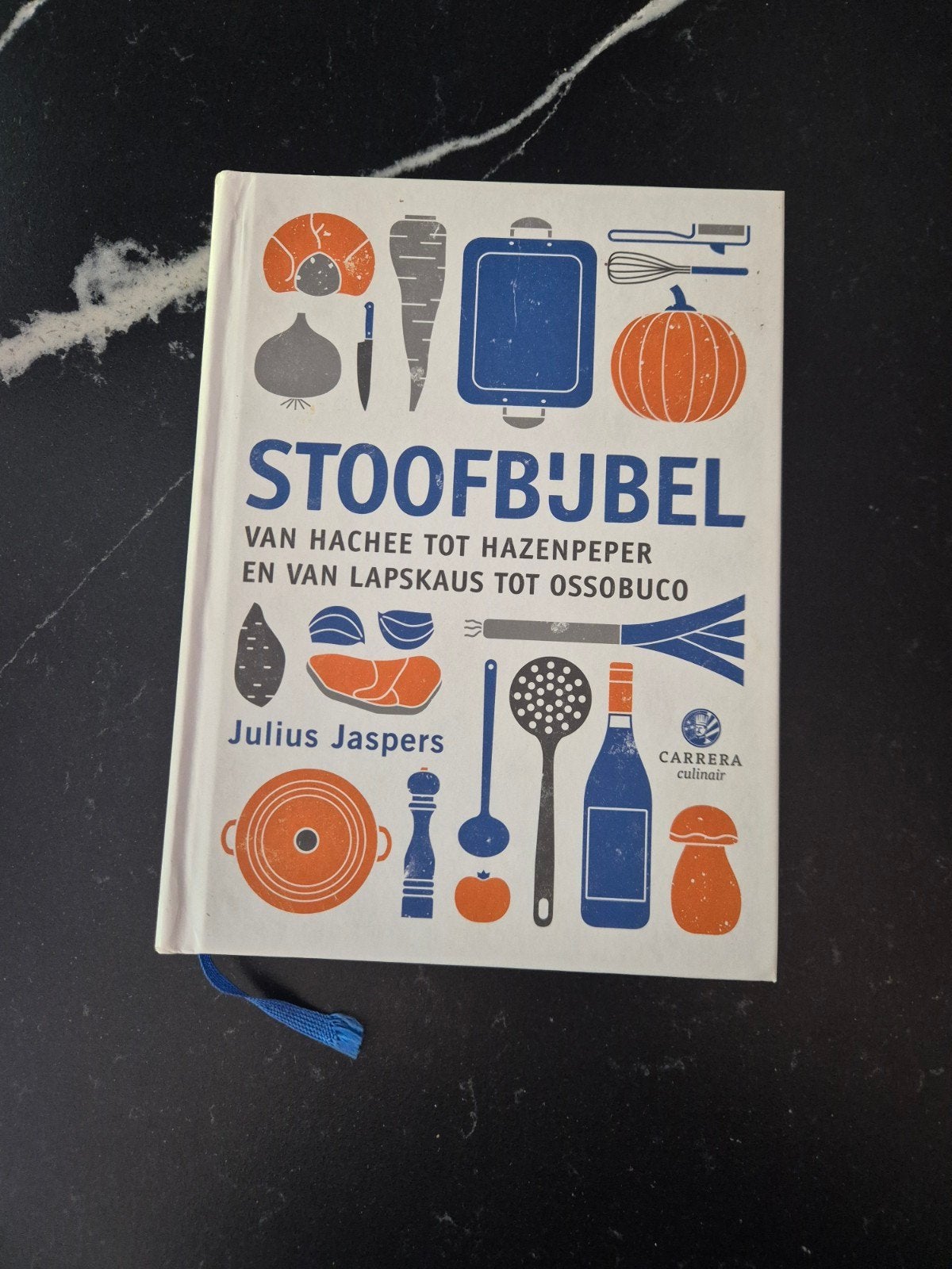 Julius Jaspers - Stoofbijbel, zo goed als nieuw, Julius Jaspers, Ophalen of Verzenden, Zo goed als nieuw, Frankrijk