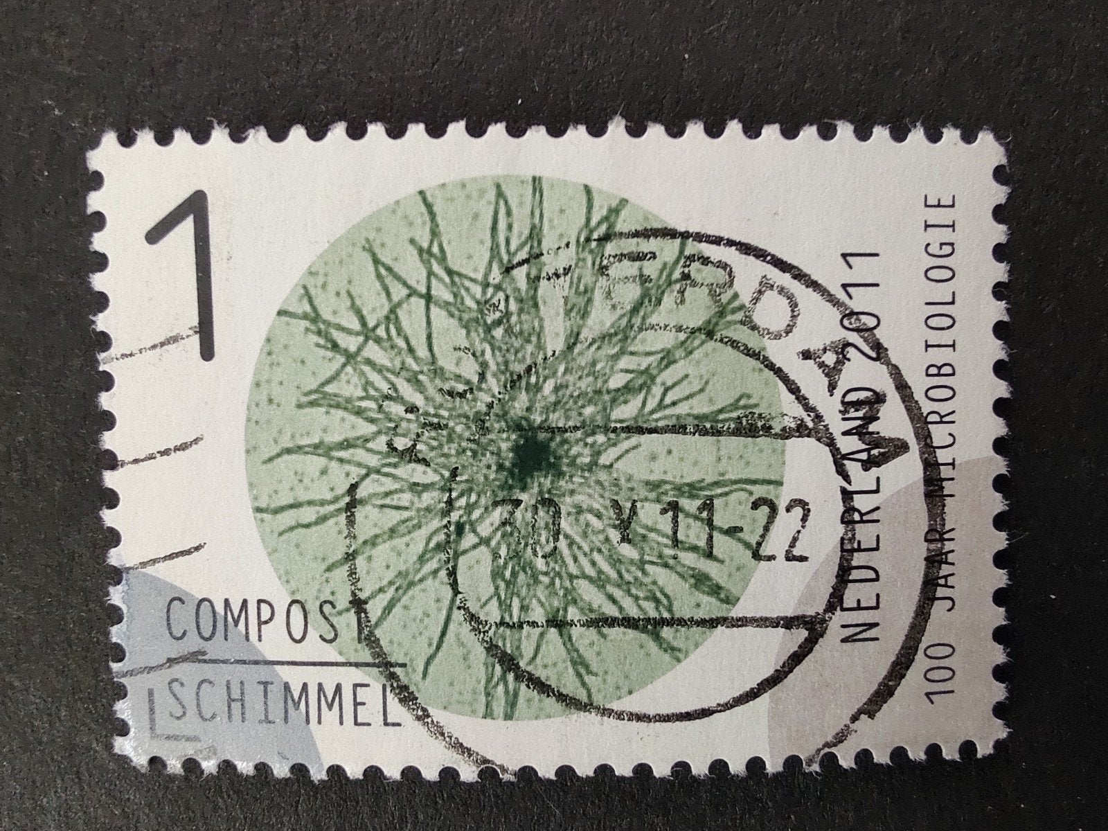 2841 schimmel-compost 2011  microbiologie, Ophalen of Verzenden