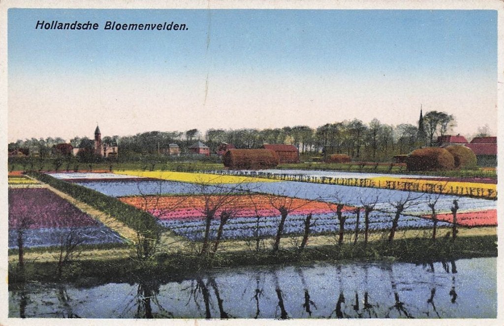702-230-021 Hollandsche Bloemenvelden, Verzenden, Voor 1920