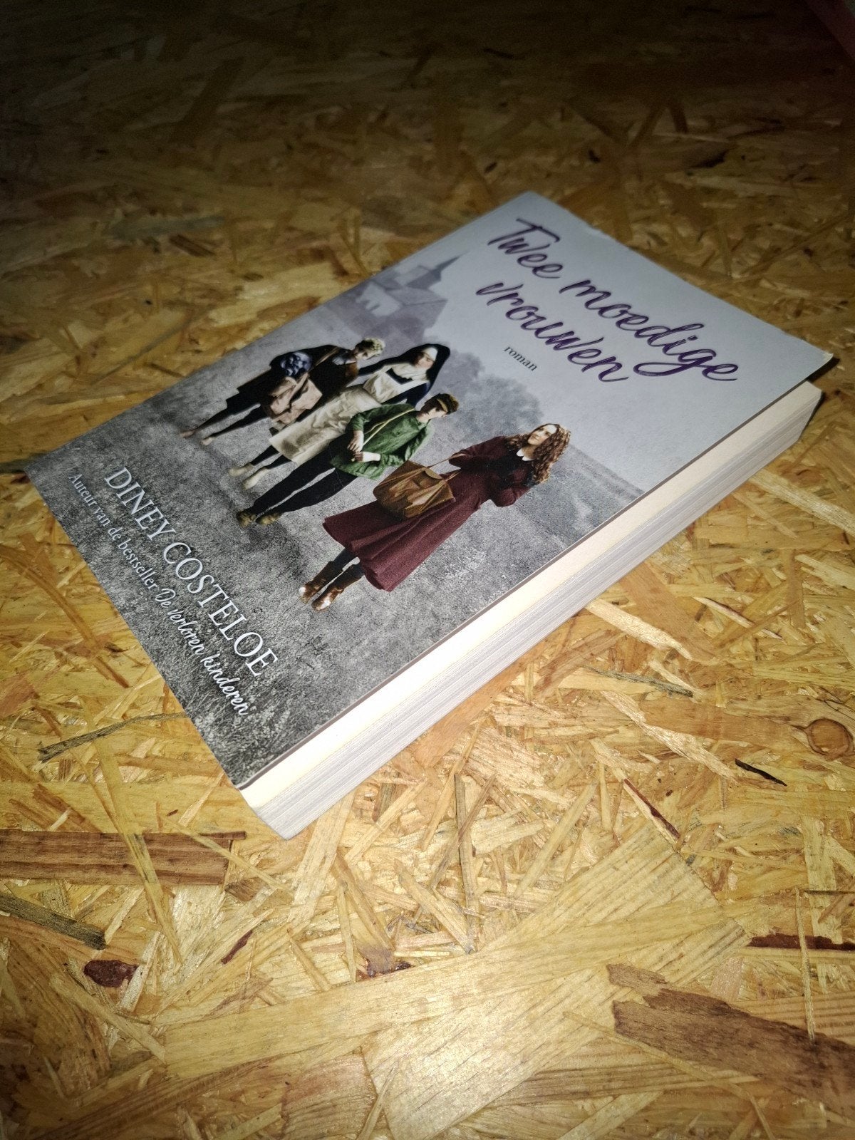 Twee moedige vrouwen - Diney Costeloe (Roman), Boeken, Ophalen of Verzenden, Zo goed als nieuw, Diney Costeloe