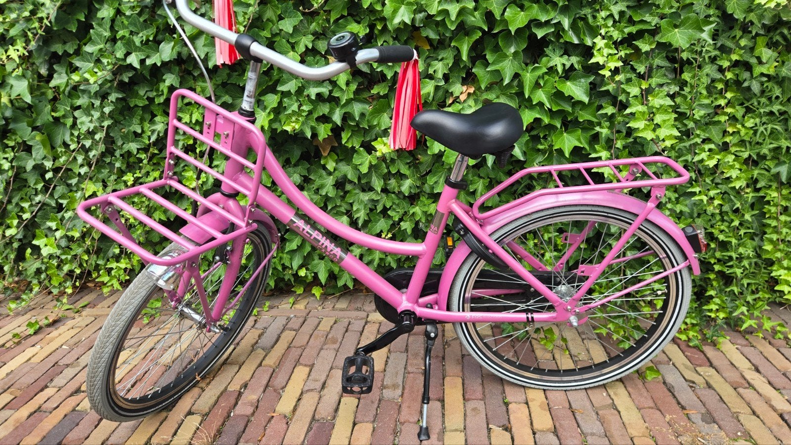 22 inch alpina cargo  meisjes fiets, Ophalen, Terugtraprem, 22 inch, Gebruikt