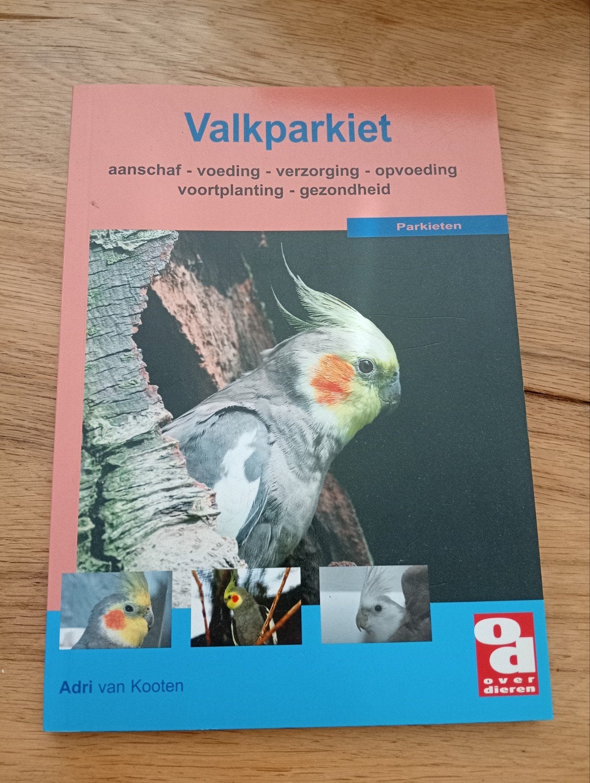 Valkparkiet - Alles over aanschaf, voeding en verzorging, Adri van Kooten, Ophalen of Verzenden, Zo goed als nieuw, Vogels