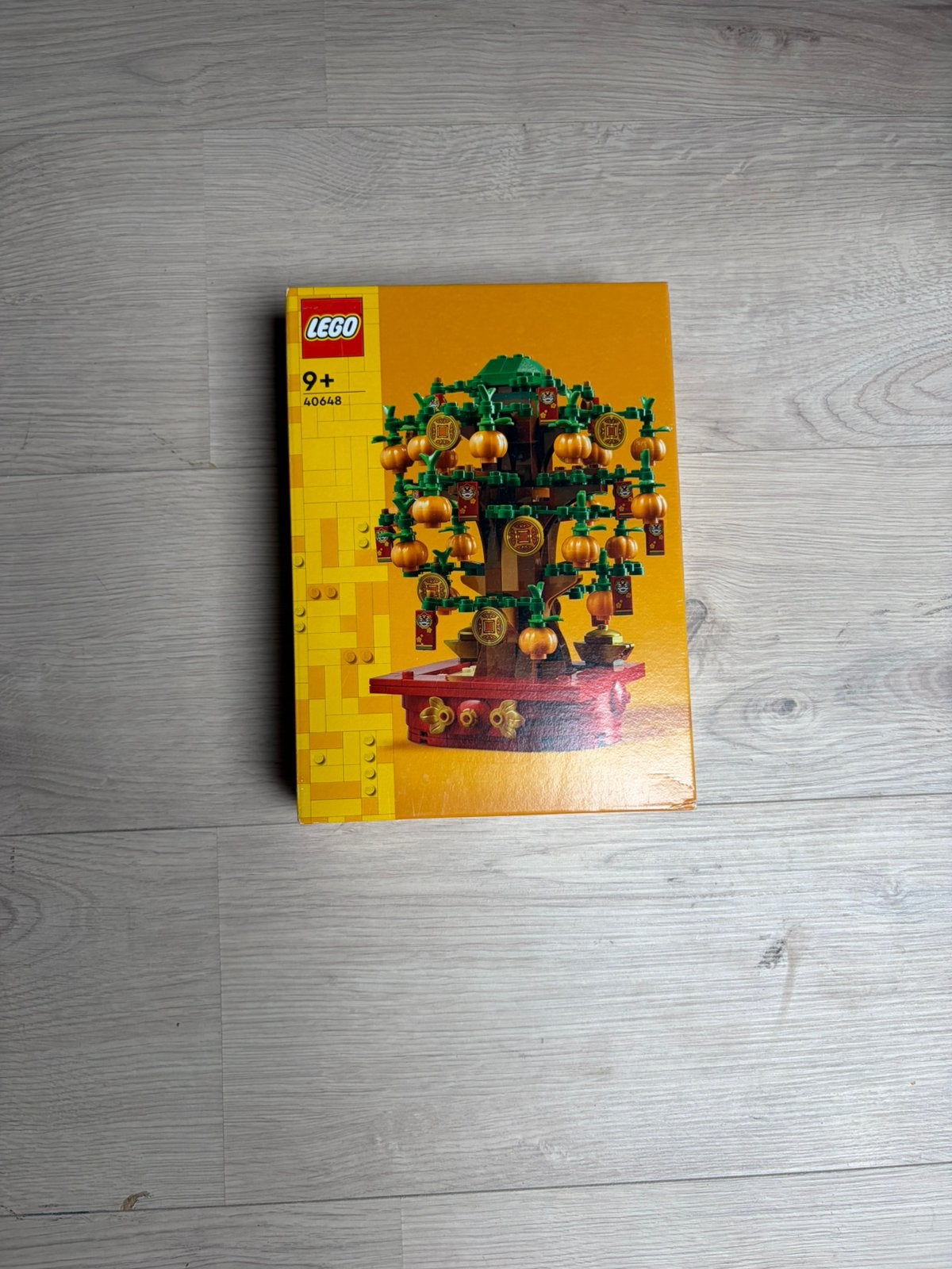 LEGO 40648 Geldboom - Nieuw in doos, Ophalen of Verzenden, Nieuw