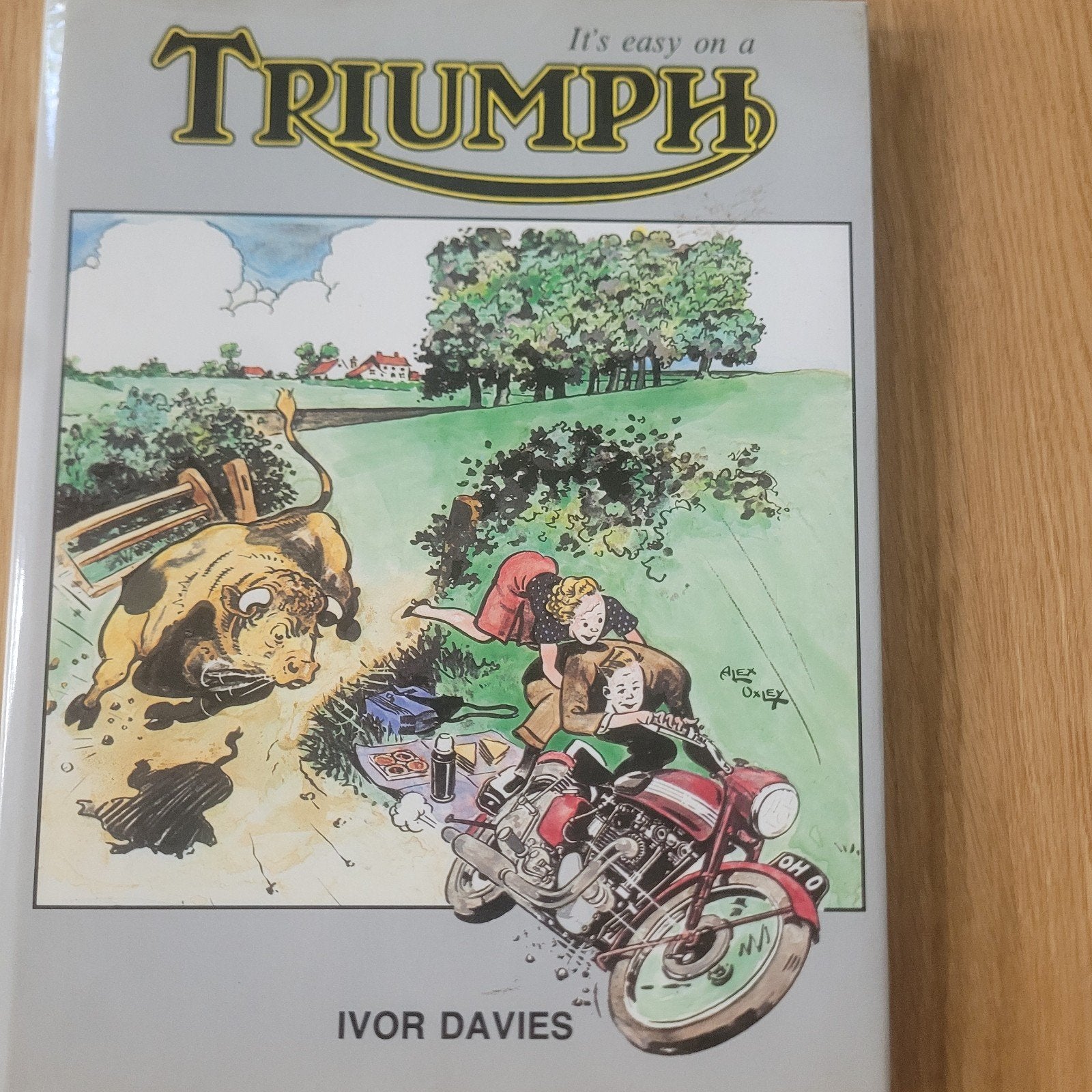 It's Easy on a Triumph - Ivor Davies (Motorfietsen), Boeken, Ophalen of Verzenden, Zo goed als nieuw, Autotechniek, Ivor Davies