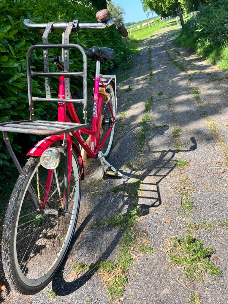 Fiets rood, Ophalen, Gebruikt, Overige merken, Versnellingen