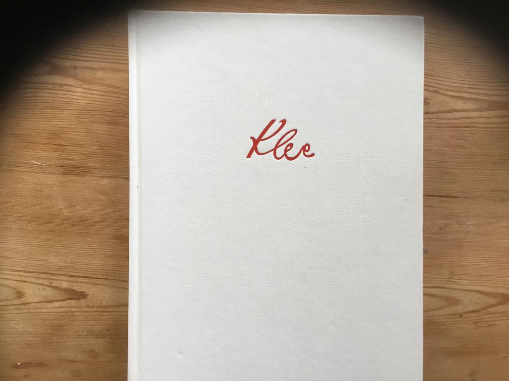 Kunstboek  Paul Klee.   €7.00.  Bieden, Ophalen of Verzenden, Zo goed als nieuw