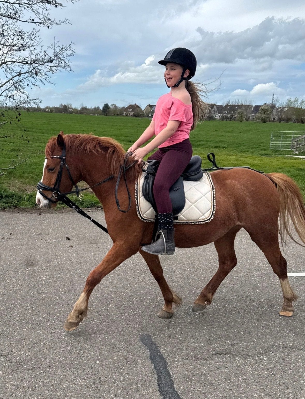 Lieve 4 jarige kinderpony, Dieren en Toebehoren, Pony's, Met stamboom, Ruin, Zadelmak, 3 tot 6 jaar