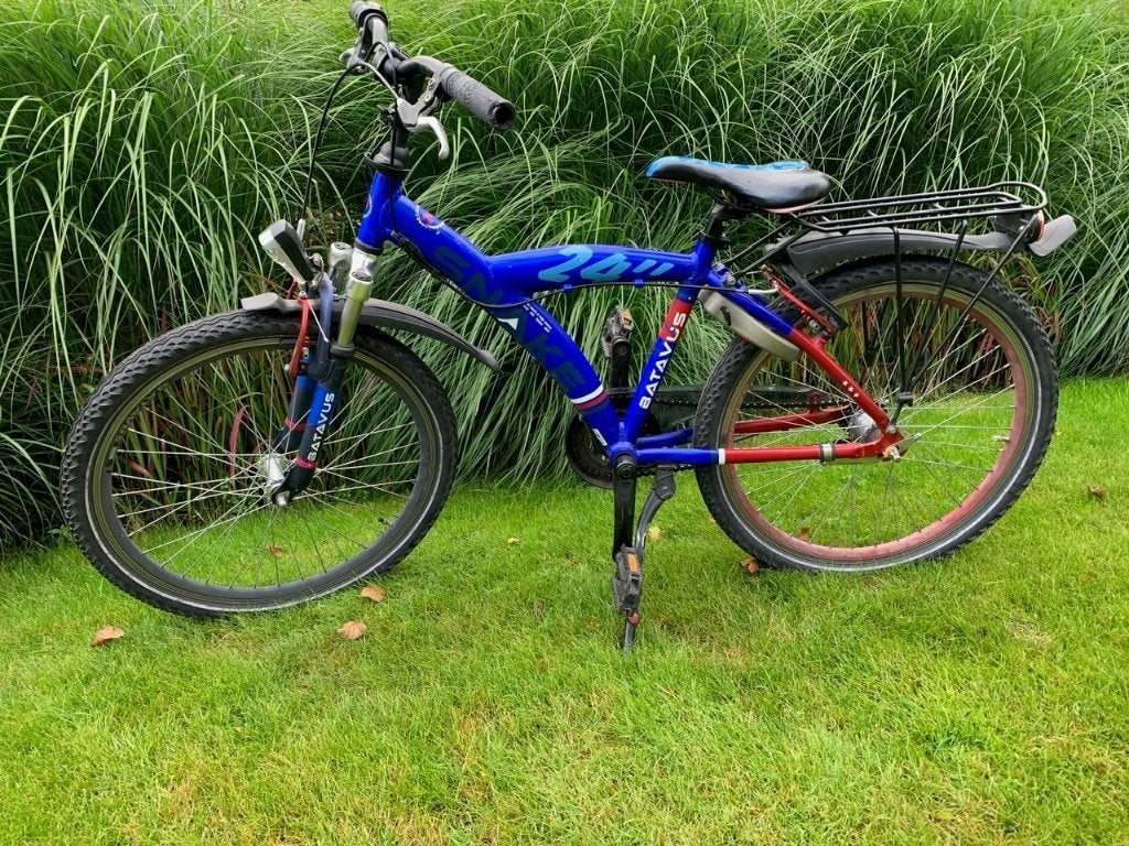 Batavus Snake 24 inch, Ophalen, Terugtraprem, Versnellingen, Batavus®