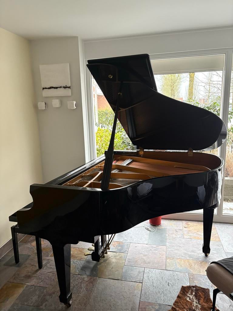Samick vleugel - Zwart hoogglans, Muziek en Instrumenten, Piano's, Gebruikt, Vleugel, Zwart, Hoogglans, Ophalen