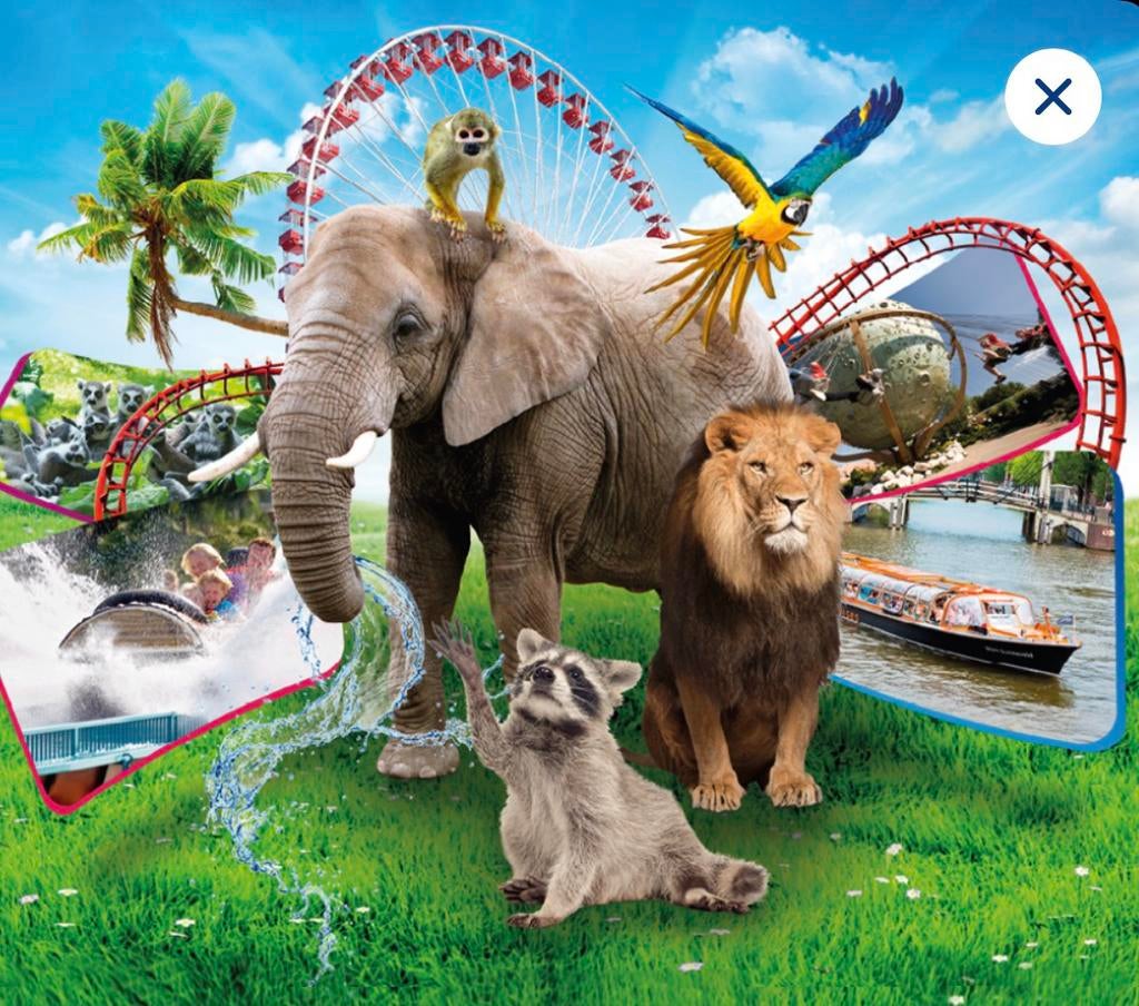 4 tickets naar keuze, Tickets en Kaartjes, Drie personen of meer, Ticket of Toegangskaart