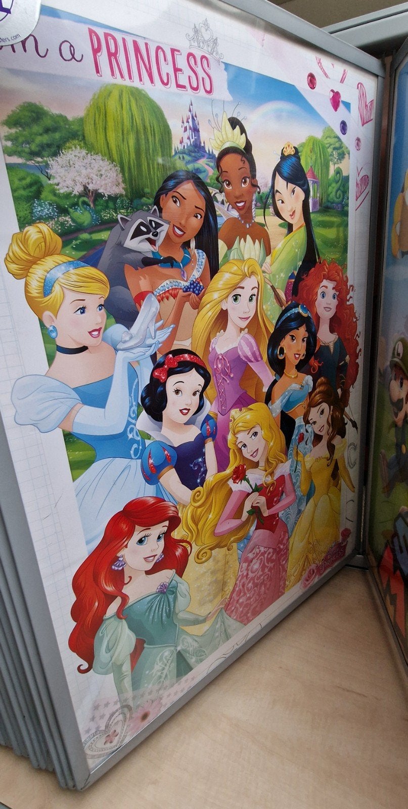 Disney Prinsessen poster 60x90cm, Ophalen of Verzenden, Nieuw