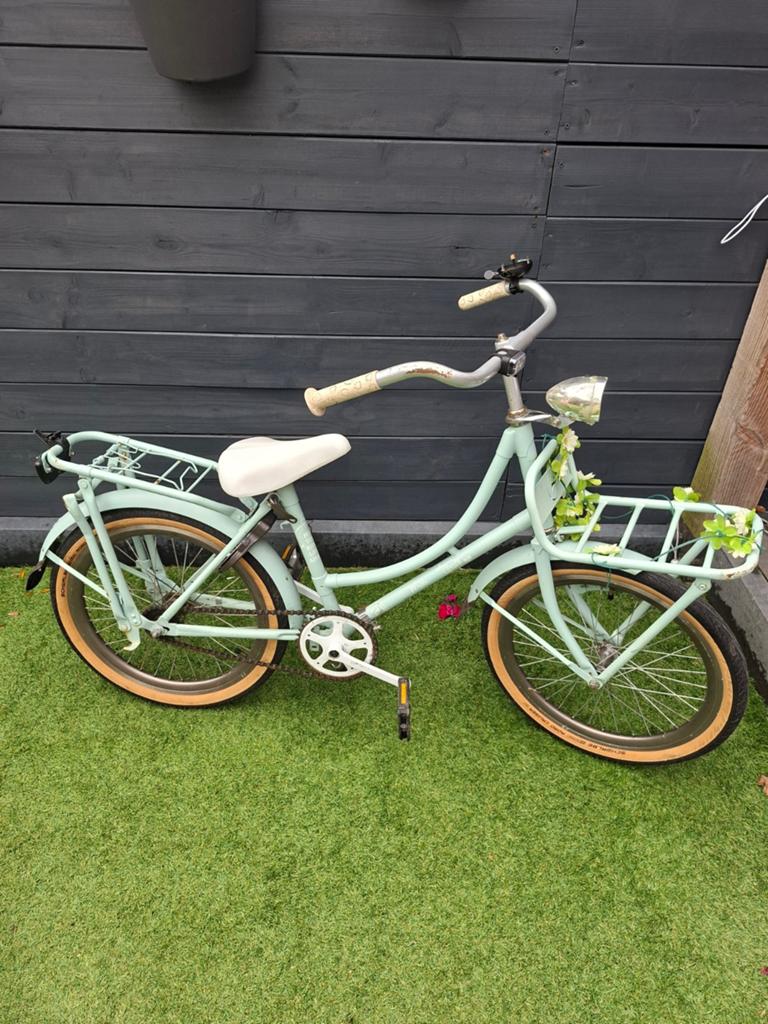 Meisjes fiets 20 inch, Fietsen en Brommers, Fietsen | Dames | Damesfietsen, Minder dan 47 cm, Ophalen of Verzenden, Gebruikt, Overige merken