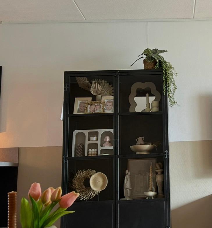 Als nieuwe castello zwart stalen kast, Huis en Inrichting, Kasten | Vitrinekasten, Ophalen, Zo goed als nieuw, 25 tot 50 cm, 150 tot 200 cm