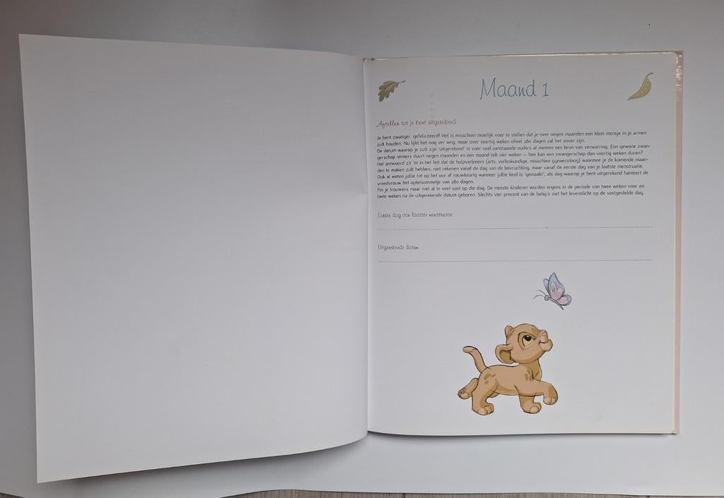 Bambi negen maanden boek.
Nieuw, Gevondenengemaakt@gmail.com, Disney, Nieuw, Ophalen of Verzenden