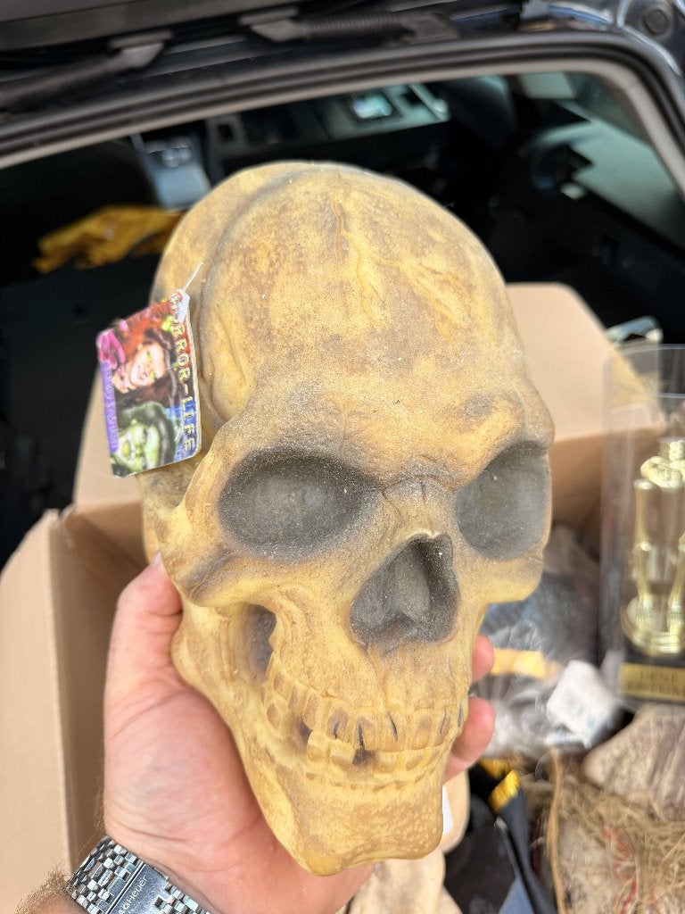TE KOOP SCHEDEL piepschuim  vintagel L, Versiering, Halloween of Griezel, Nieuw, NVT