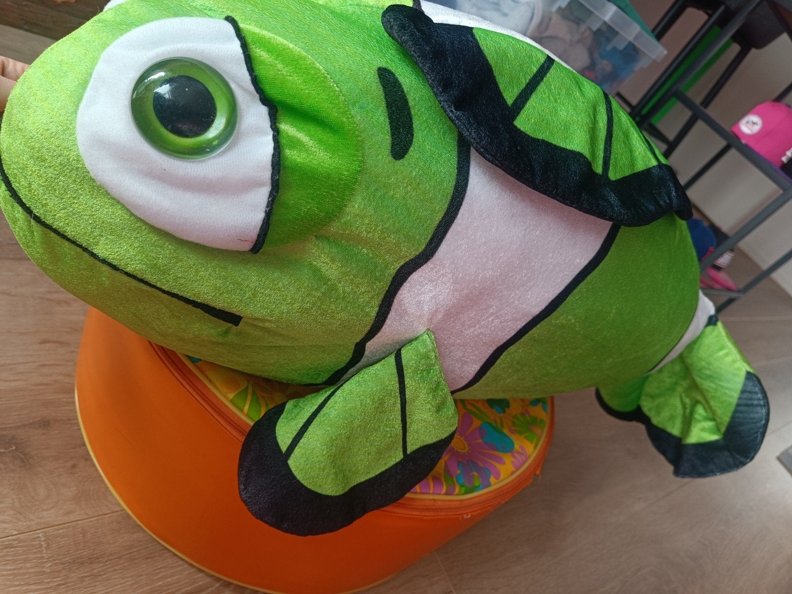 Grote knuffel nemo vis groen, Ophalen, Overige typen