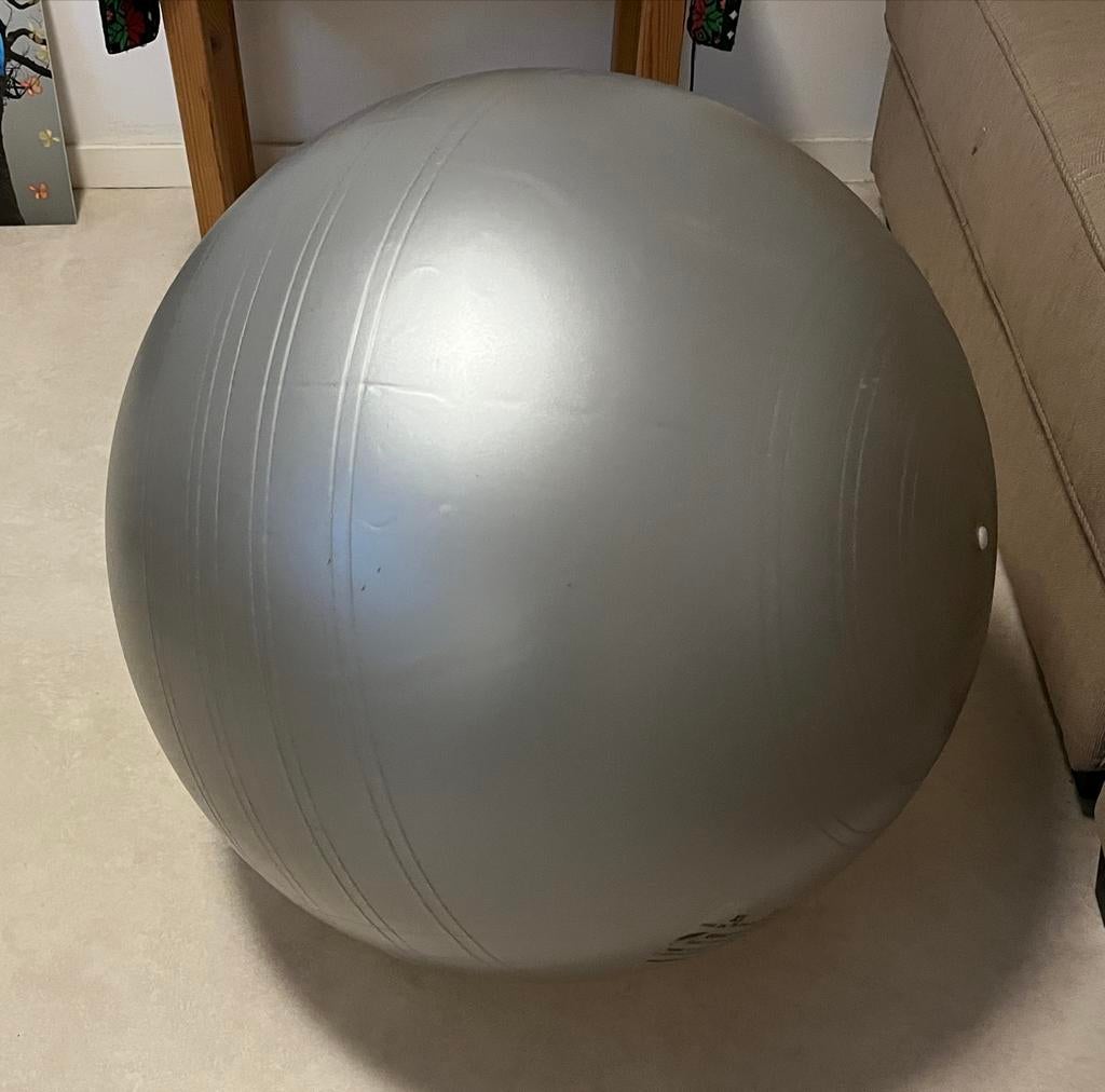 Togu Powerball ABS Harde Oefenbal - Fitnessbal 2x, Verzenden, Gebruikt, Buik, Fitnessbal