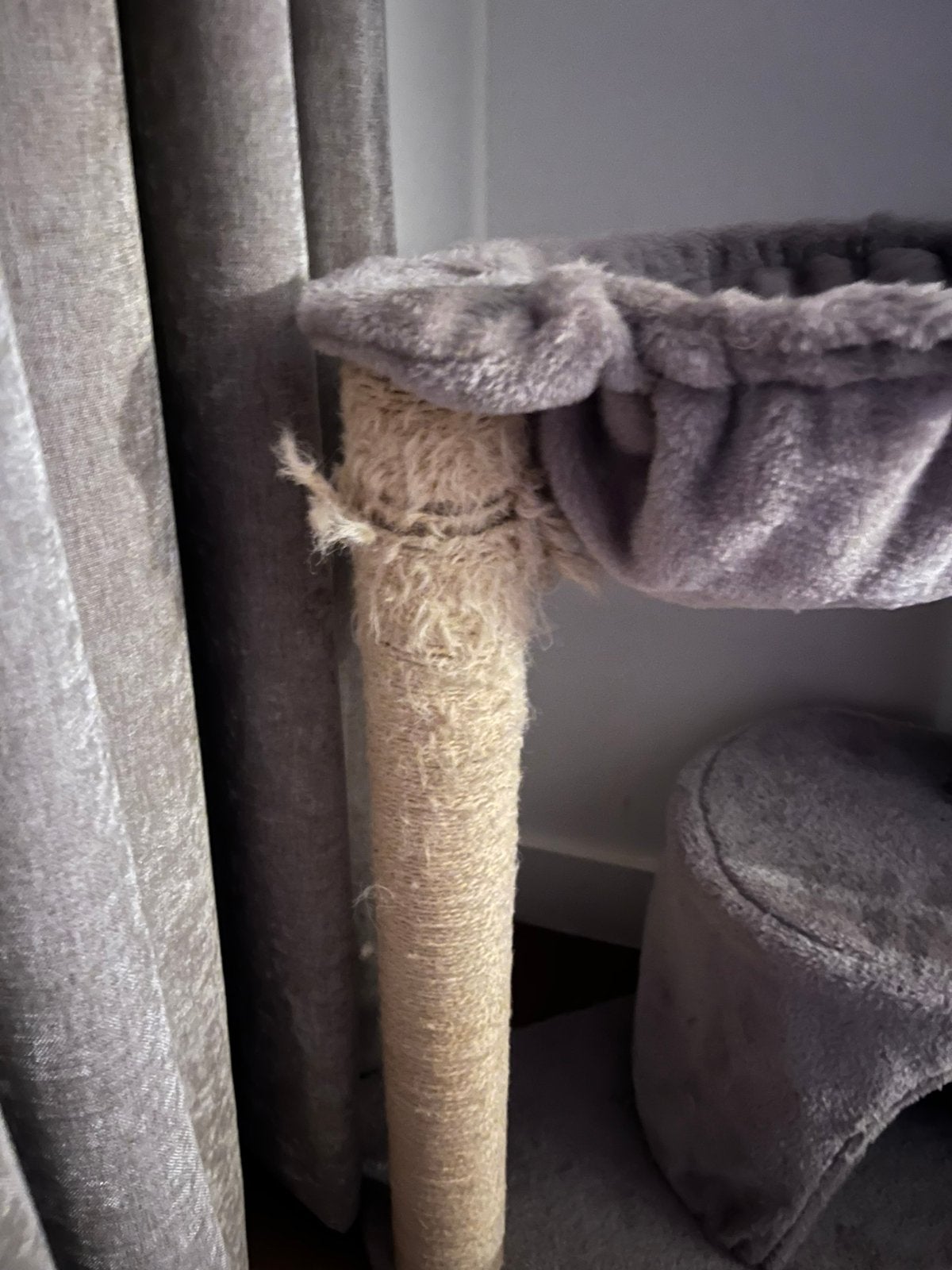 Krabpaal kitten, Dieren en Toebehoren, Ophalen, Gebruikt, Krabpaal