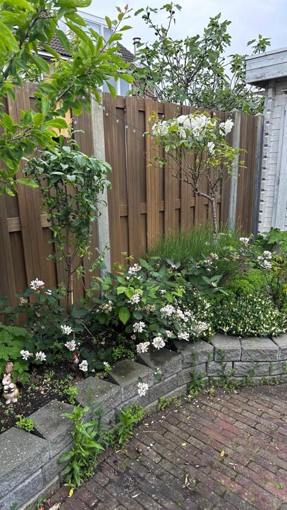 Gratis af te halen: tuintegels / bestratingsstenen, Tuin en Terras, Ophalen, Gebruikt, Klinkers, 10 m² of meer