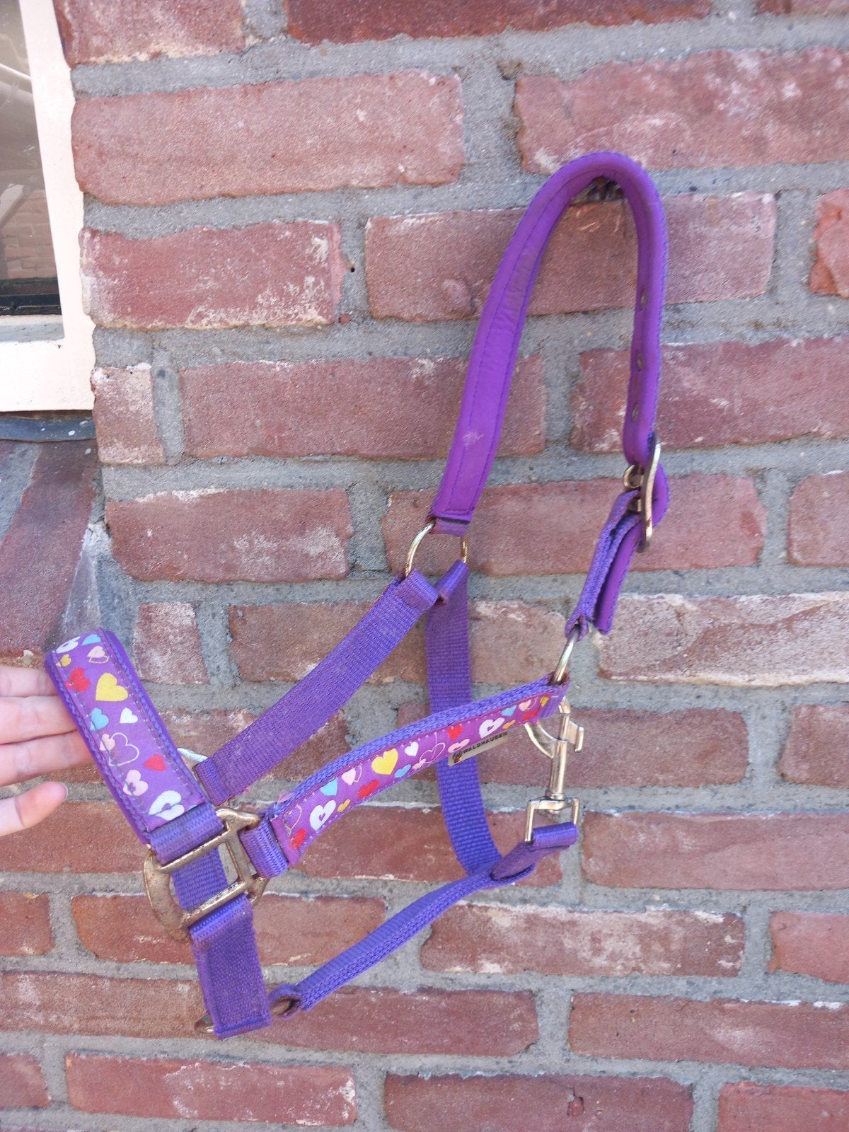 Paars pony halster, Ophalen of Verzenden, Gebruikt