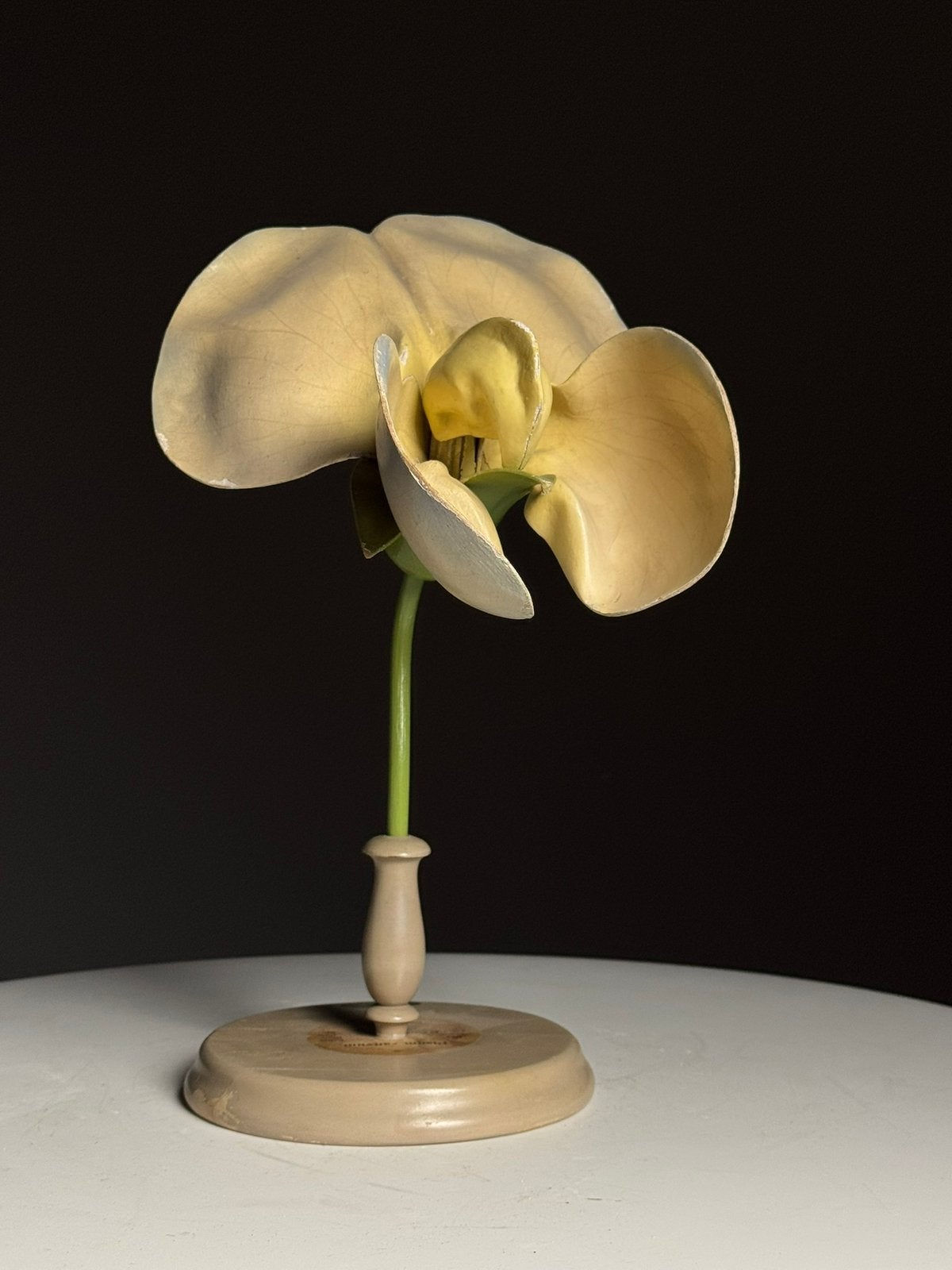 Duits Botanisch model bloem ca. 1900, Ophalen of Verzenden
