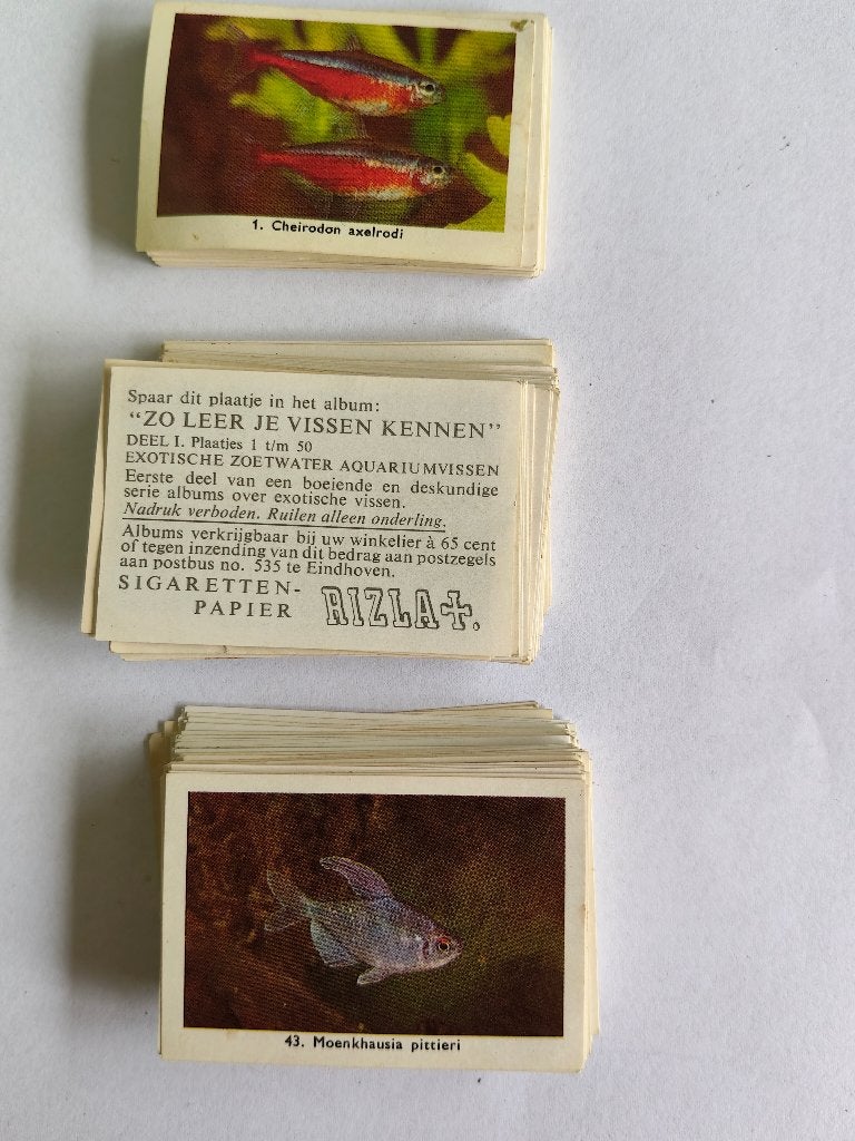3451 rizla losse plaatjes  zo leer je vissen kennen, Boeken, Prentenboeken en Plaatjesalbums, Verzenden, Gelezen