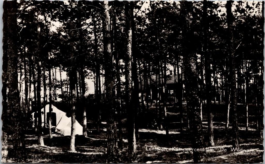 Lunteren - Kampeercentrum de Wildwal (1960), Verzenden, 1940 tot 1960, Gelopen, Gelderland