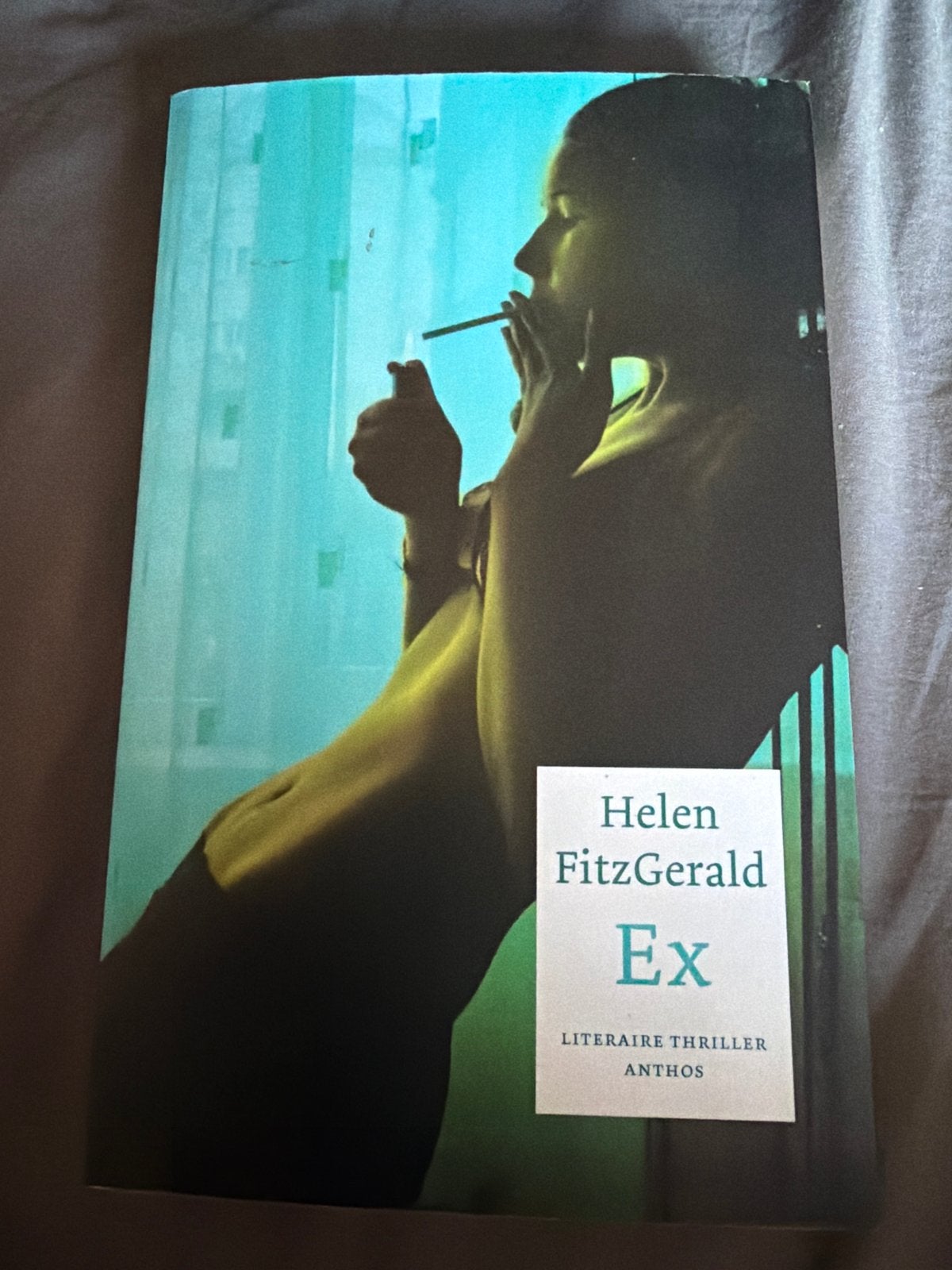 S10.   Helen Fitzgerald - Ex, Wereld overig, Ophalen of Verzenden, Zo goed als nieuw, Helen Fitzgerald