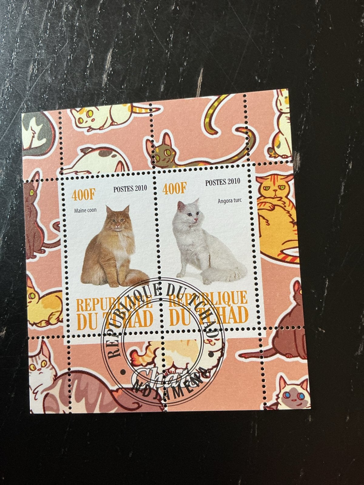 Tsjaad Postzegel 2010 Katten: Maine Coon & Angora Turc, Ophalen of Verzenden, Gestempeld