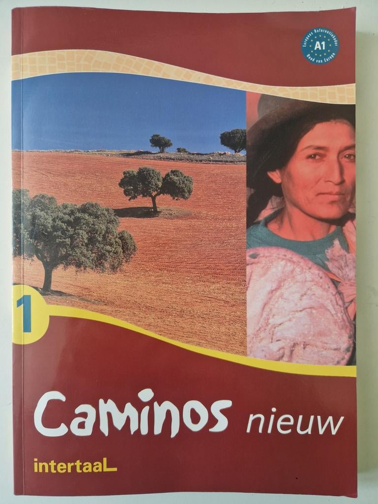 Leerboek Spaans Caminos van Intertaal - Uitstekende staat, Boeken, Spaans, Ophalen of Verzenden, Zo goed als nieuw, Intertaal