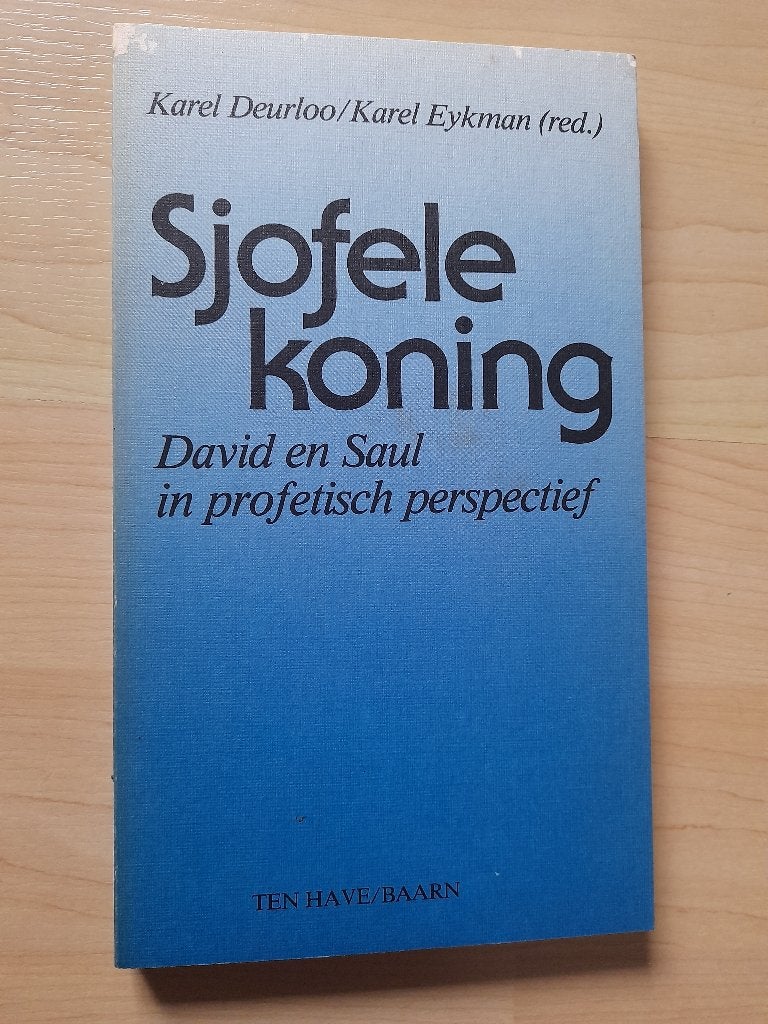 SJOFELE KONING Karel Deurloo DAVID EN SAUL IN PROFETISCH, Ophalen of Verzenden, Gelezen