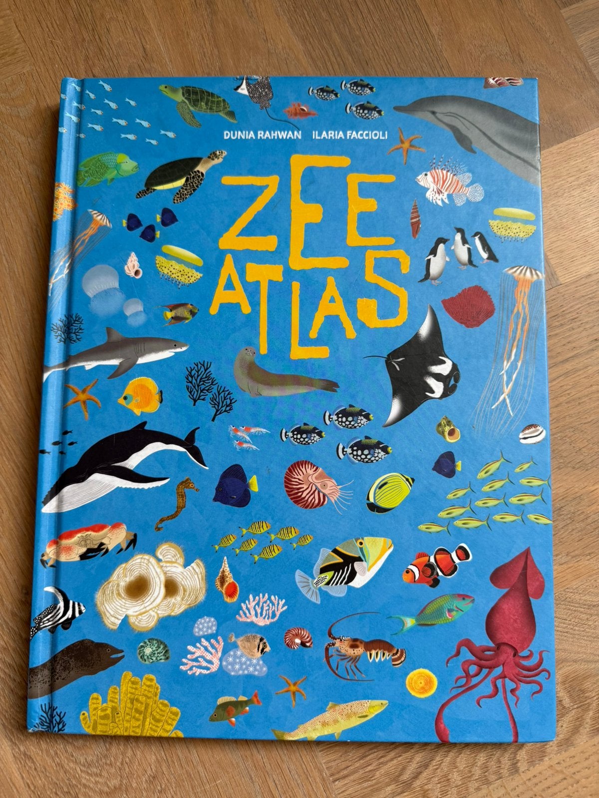 Zee Atlas, Boeken, Ophalen of Verzenden, Gelezen, 2000 tot heden, Landkaart