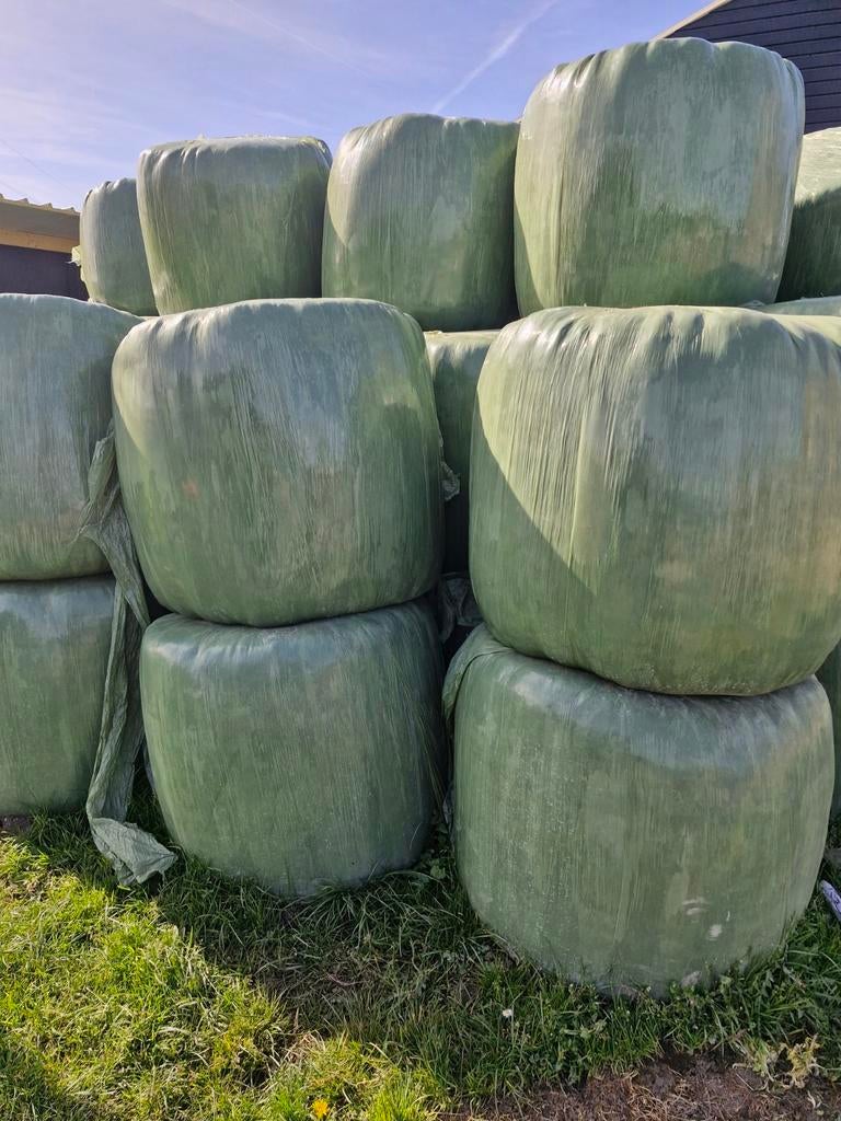 Grasbalen / Kuilbalen te koop, Ophalen of Verzenden