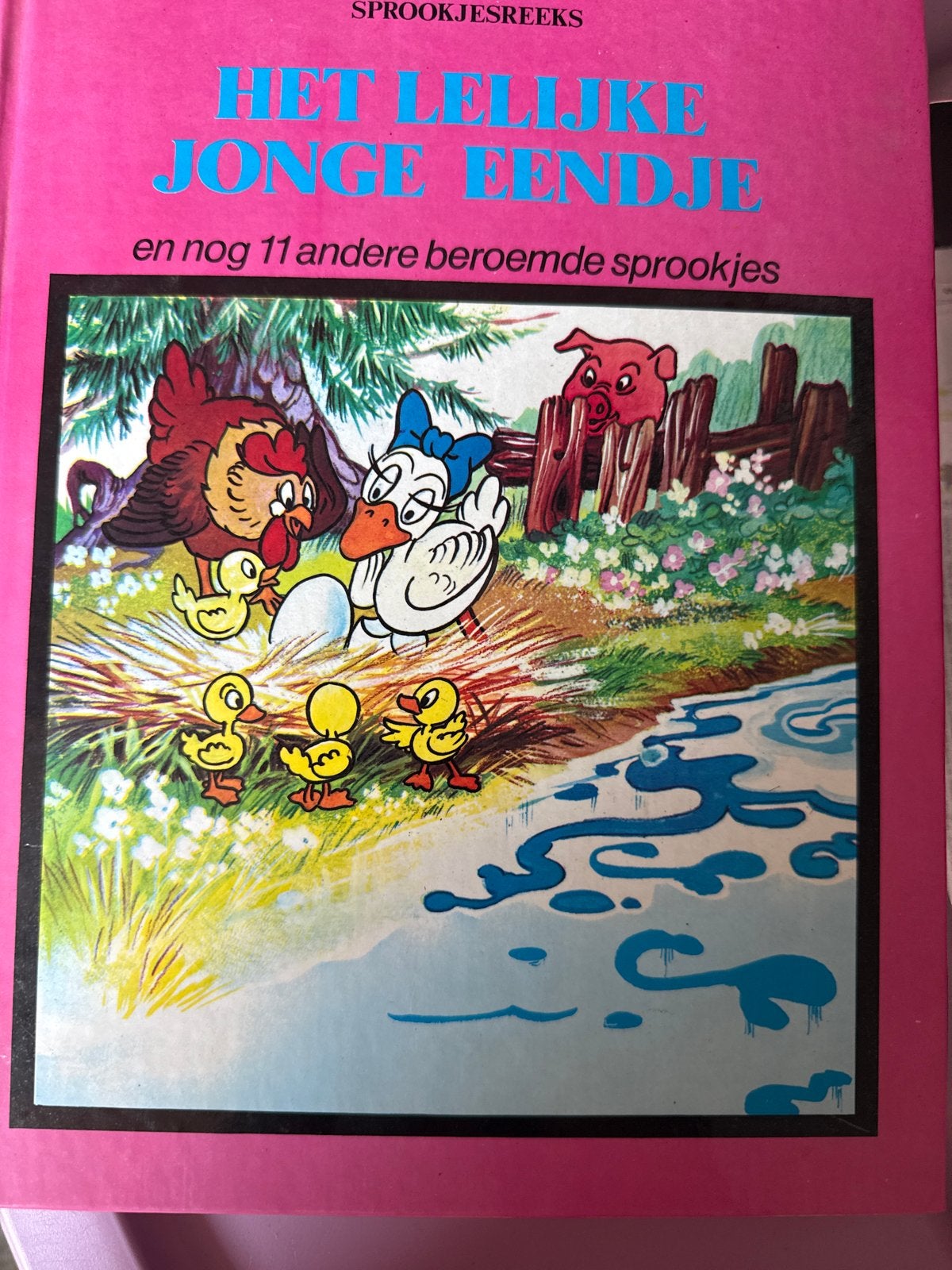 Het Lelijke Jonge Eendje en 11 andere beroemde sprookjes, Ophalen of Verzenden, Gelezen