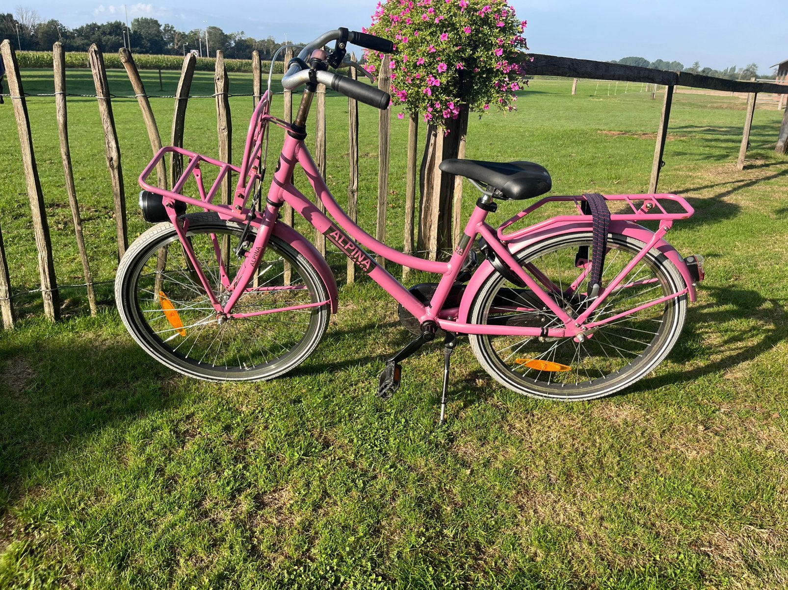 Alpina kinderfiets 22 inch, Ophalen, Terugtraprem, 22 inch, Gebruikt