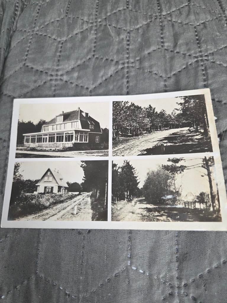 Oude ansichtkaart Texel, Hotel 'Prins Hendrik' en omgeving, Ophalen of Verzenden, 1940 tot 1960, Gelopen, Waddeneilanden