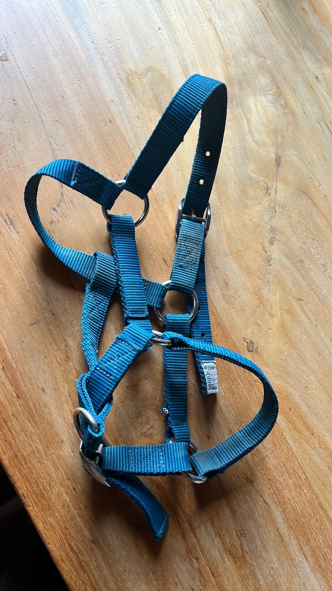 Halster kleine pony/grote shet, Ophalen of Verzenden, Zo goed als nieuw, Halster, Pony