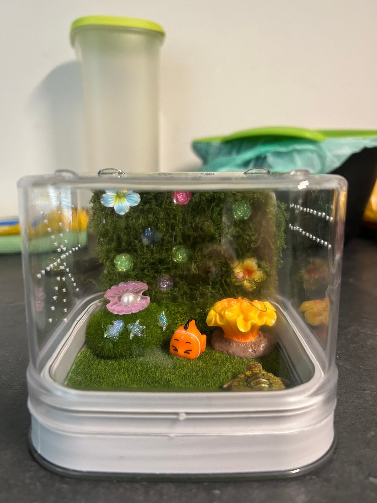Nemo baby springspin terrarium, Dieren en Toebehoren